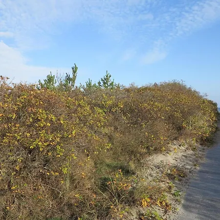 5 Person In Jerup-by Traum Jerup